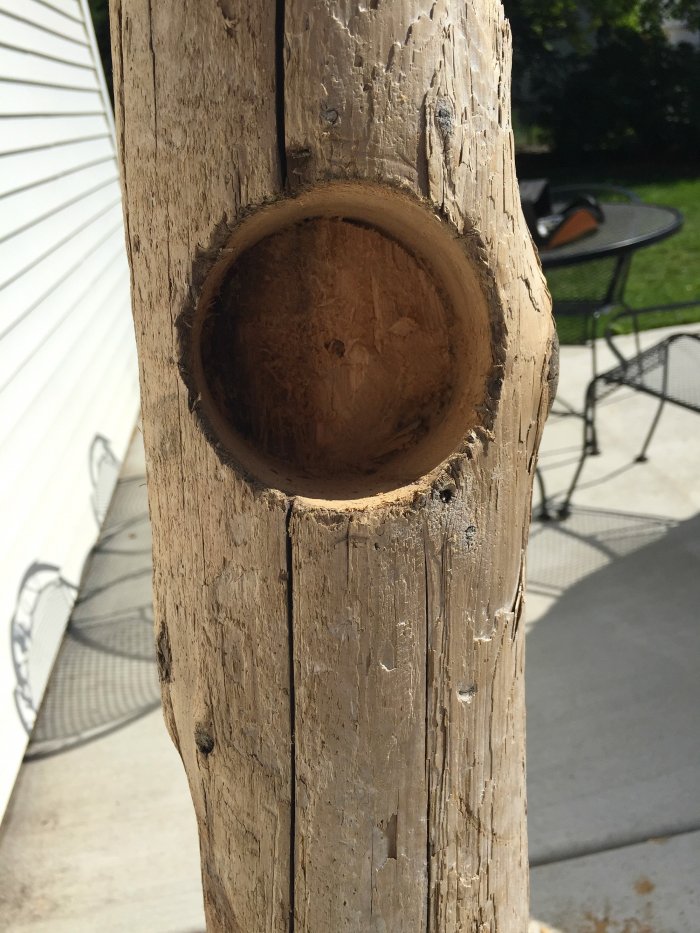 hole saw cut in driftwood